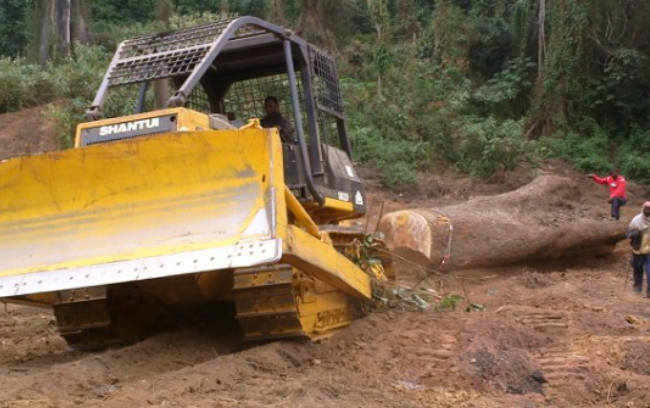 777盛世国际_官网首页