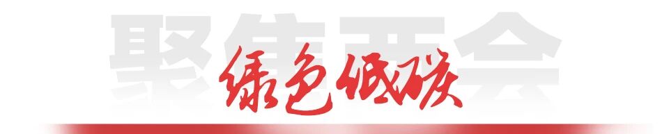 777盛世国际_官网首页
