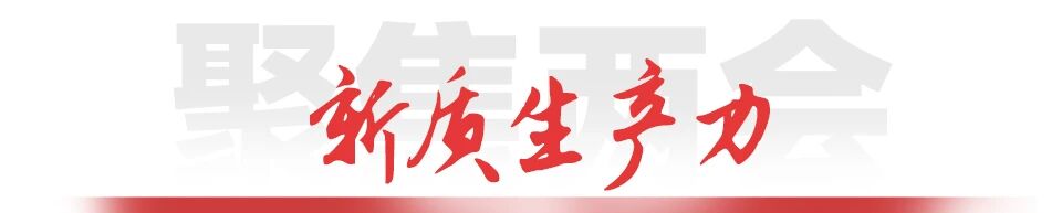 777盛世国际_官网首页